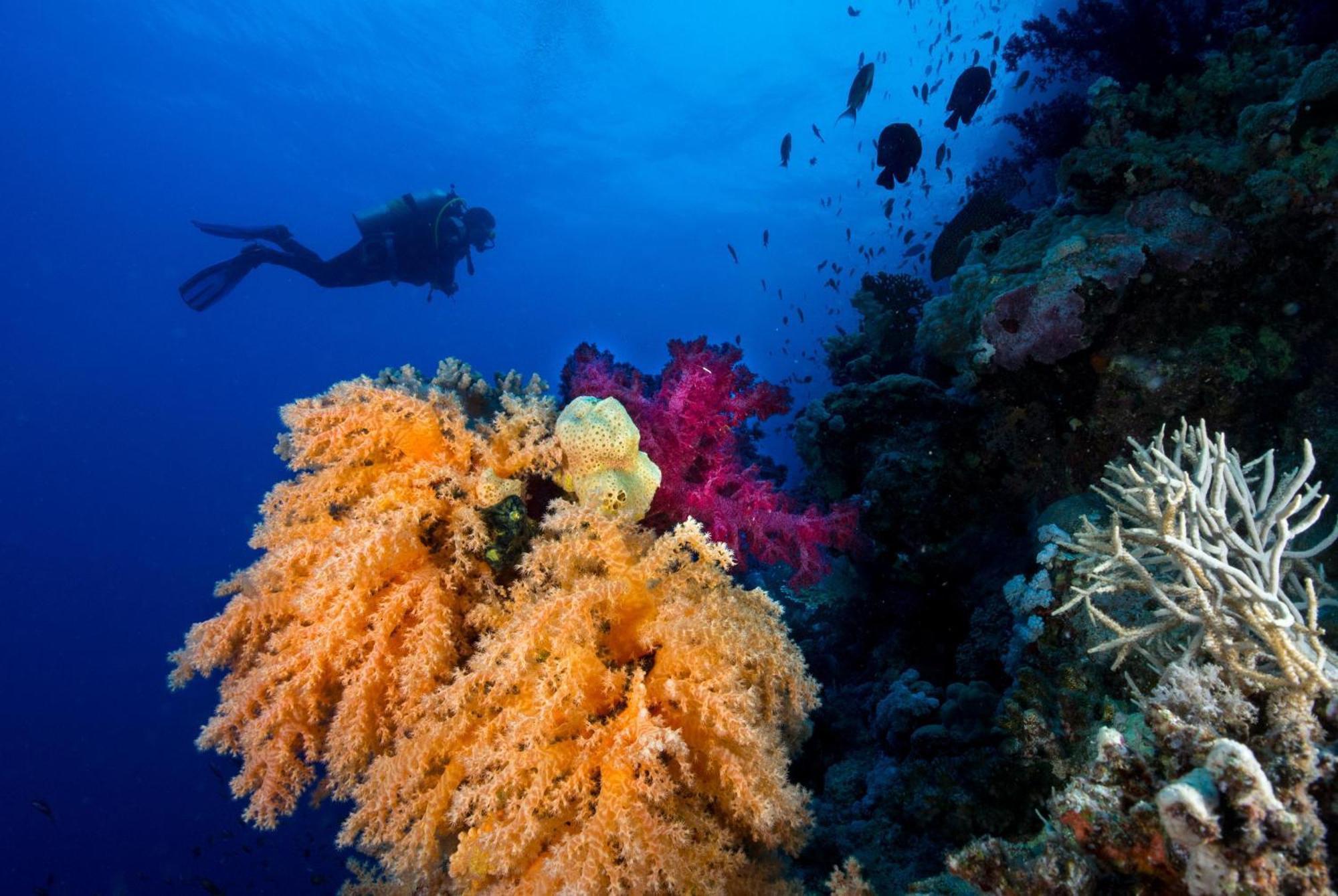 Отель Club Paradisio El Gouna Red Sea Хургада Экстерьер фото